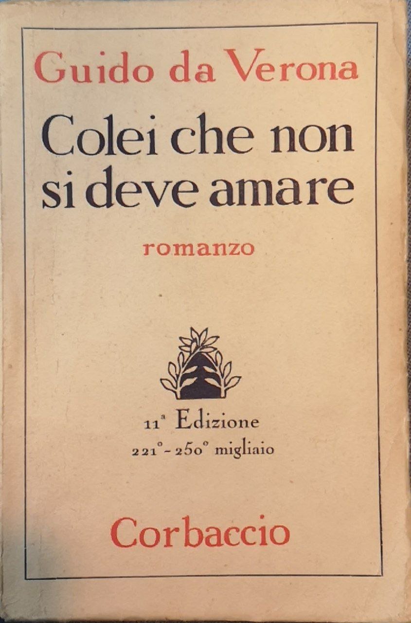 Colei che non si deve amare: romanzo | Immagine principale