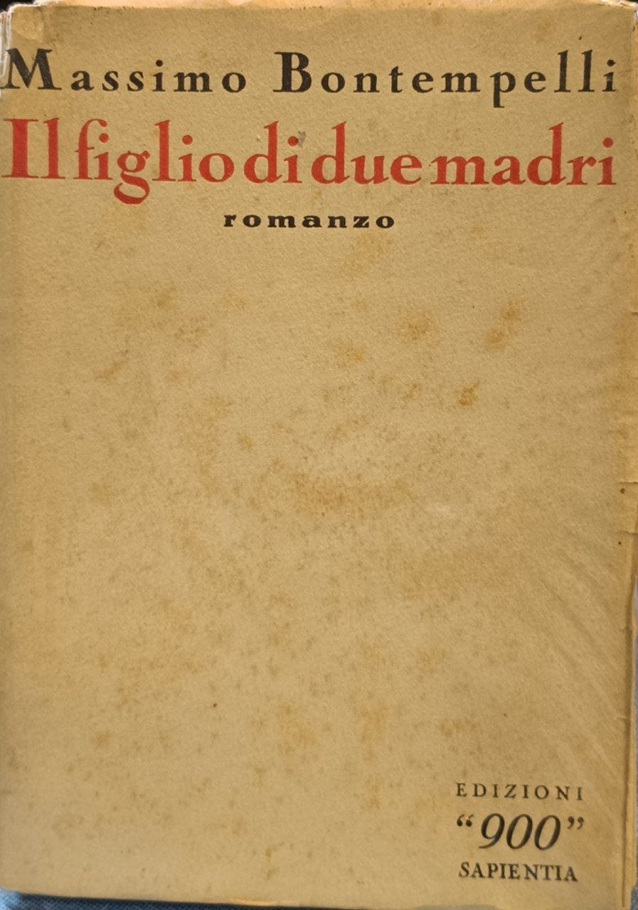 Il figlio di due madri. Romanzo | Immagine principale