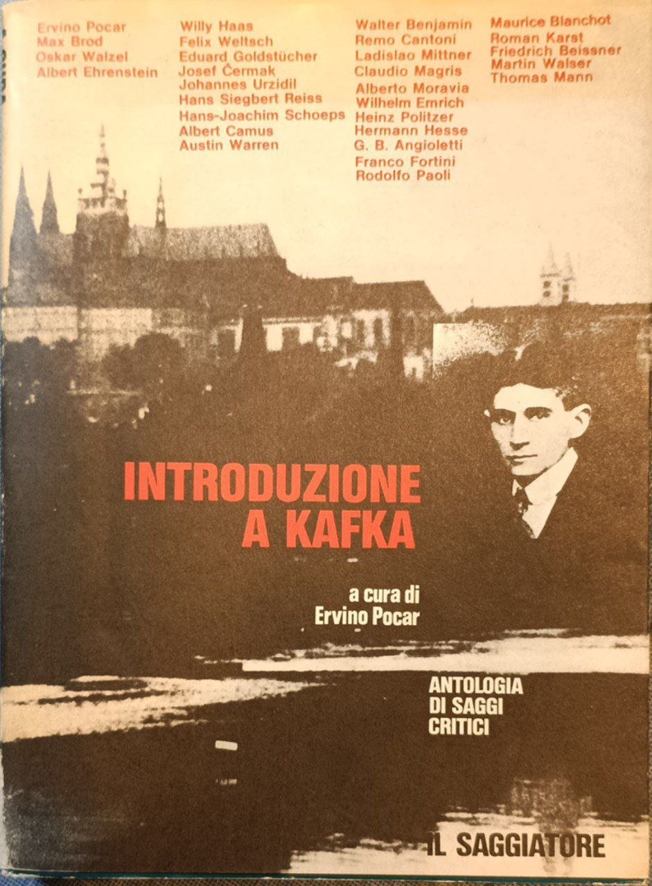 Introduzione a Kafka: antologia di saggi critici | Immagine principale