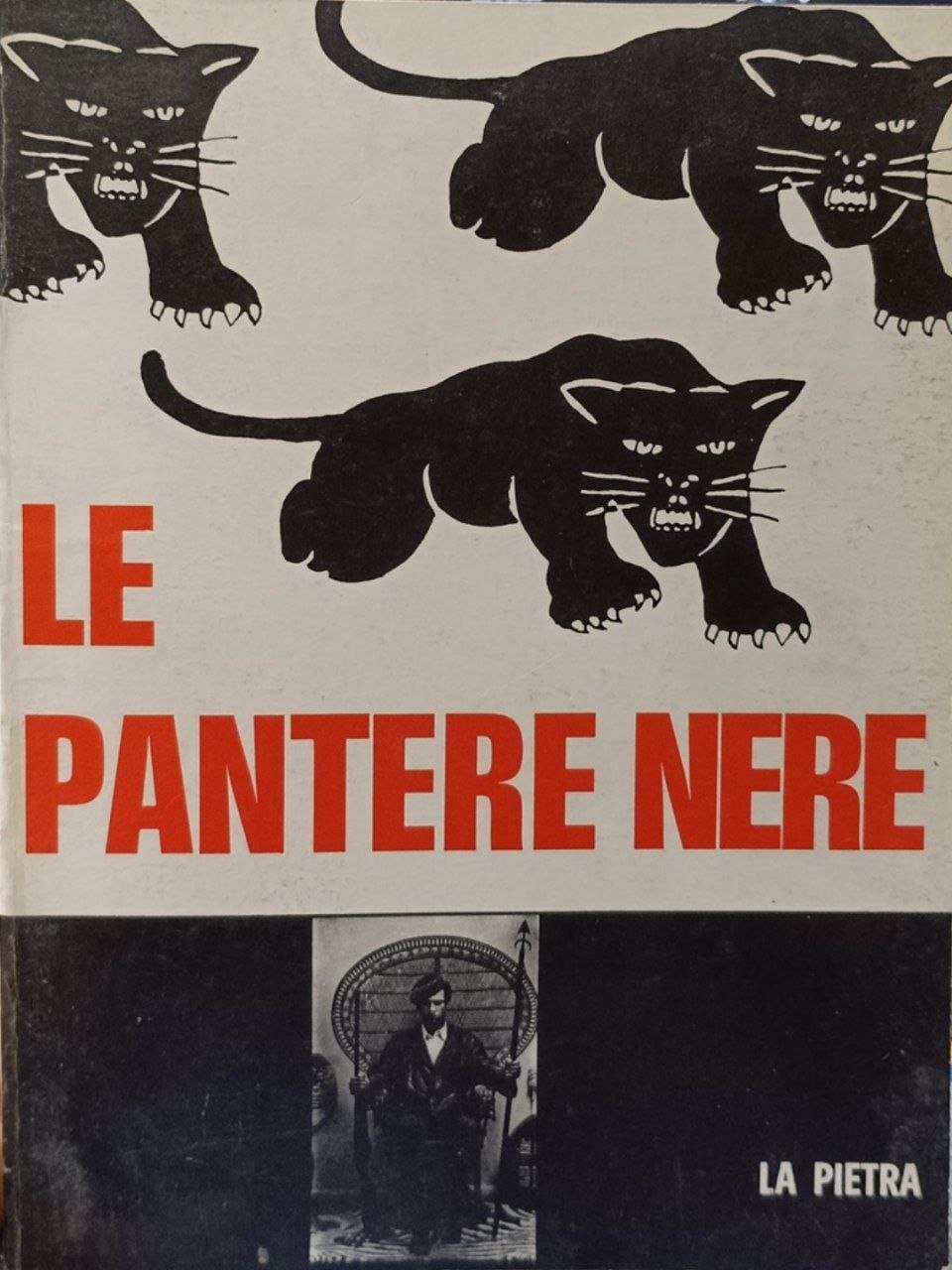 Le pantere nere | Immagine principale