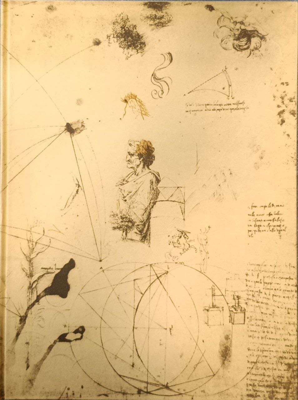 Leonardo a Milano | Immagine principale