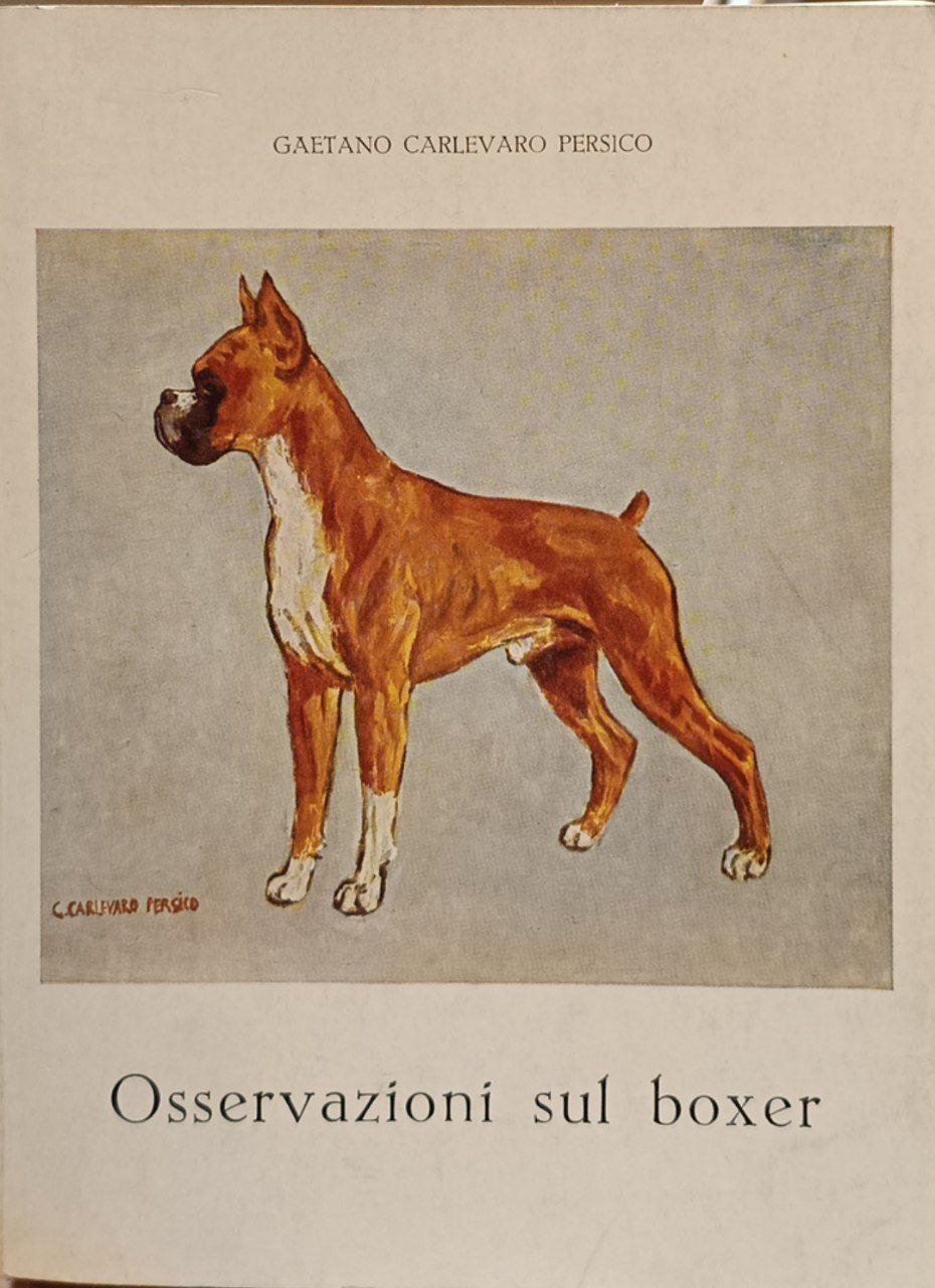 Osservazioni sul Boxer | Immagine principale