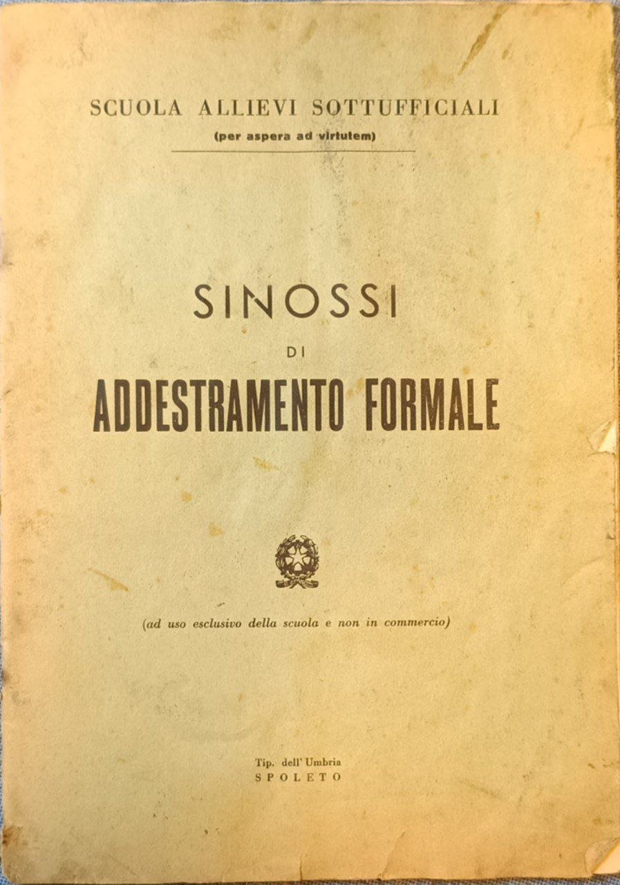 Sinossi di Addestramento Formale