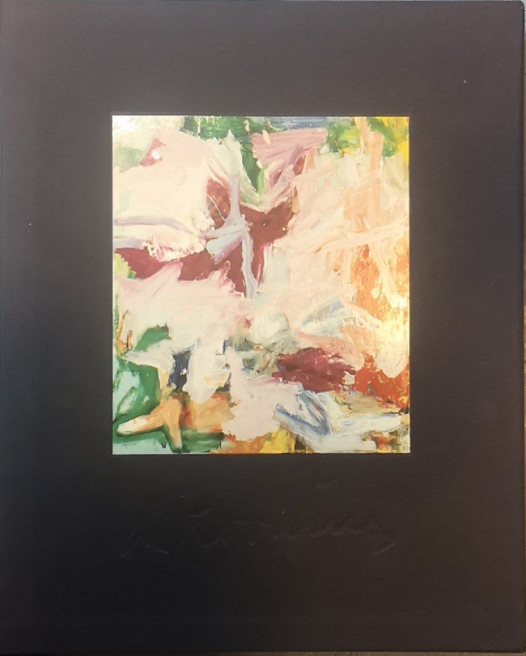 Willem De Kooning: paintings