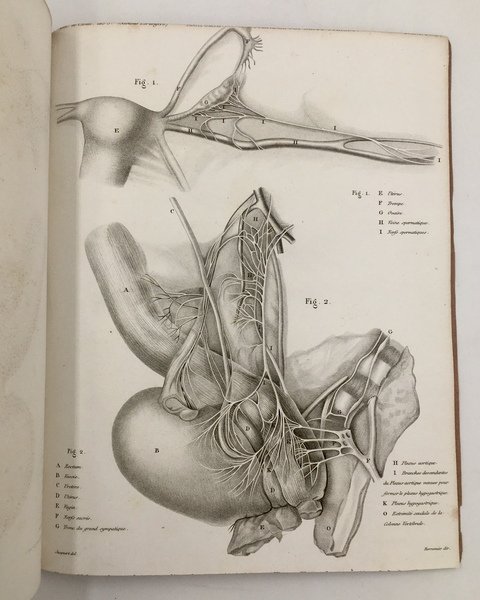 Recherches sur la DISPOSITION des NERFS de l'UTERUS et application …