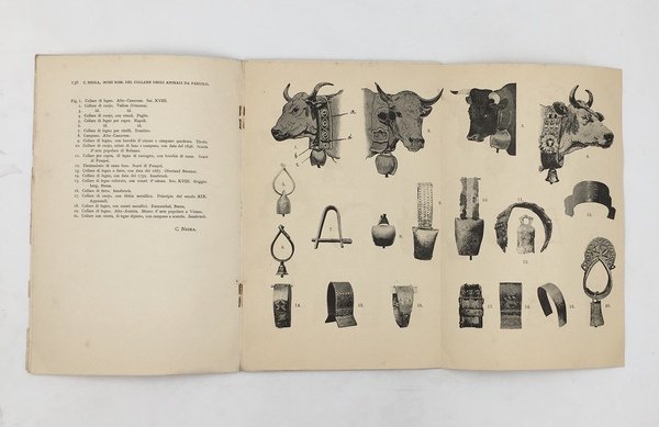 NOMI ROMANZI del COLLARE degli ANIMALI da PASCOLO. + Tosc. …