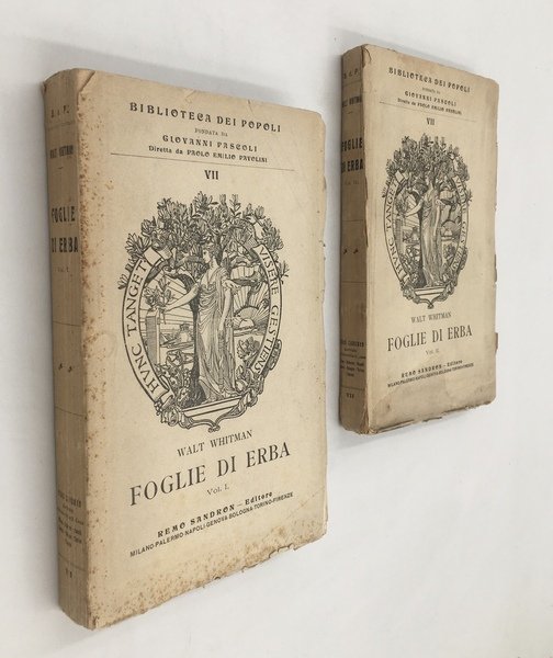 FOGLIE di ERBA con le due AGGIUNTE e gli "ECHI …