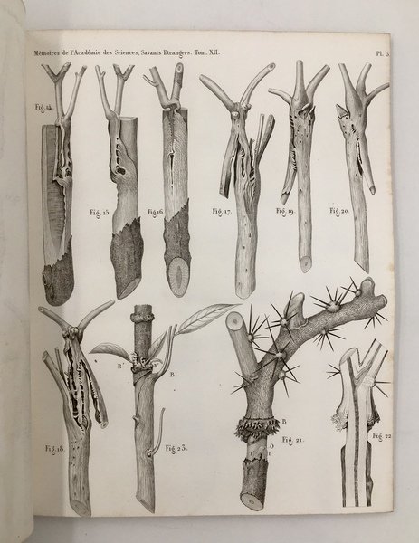 Mémoires sur la VISION. 1. Sur la FIGURE MATHéMATIQUE des …