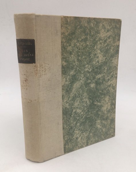 Sous des NUEES d'ORAGE. Récits de voyage.