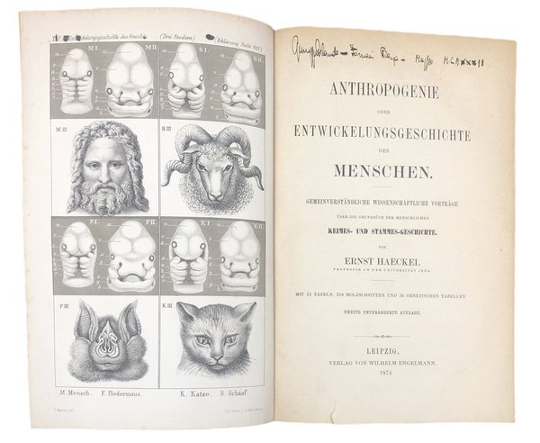 ANTHROPOGENIE oder ENTWICKELUNGSGESCHICHTE des MENSCHEN.