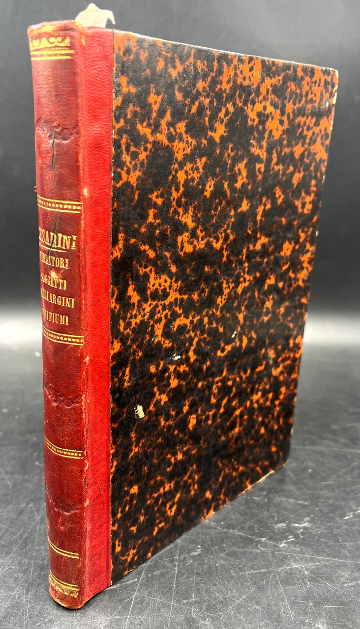 Intorno alla DIFESA dei TERRITORI soggetti agli ARGINI dei FIUMI …