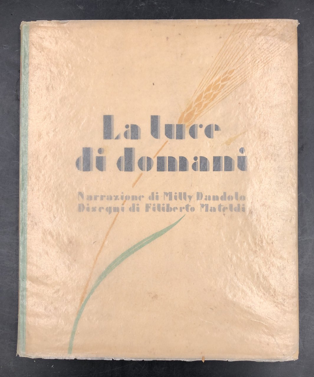 La LUCE di DOMANI. Narrazione di Milly Dandolo; disegni di …