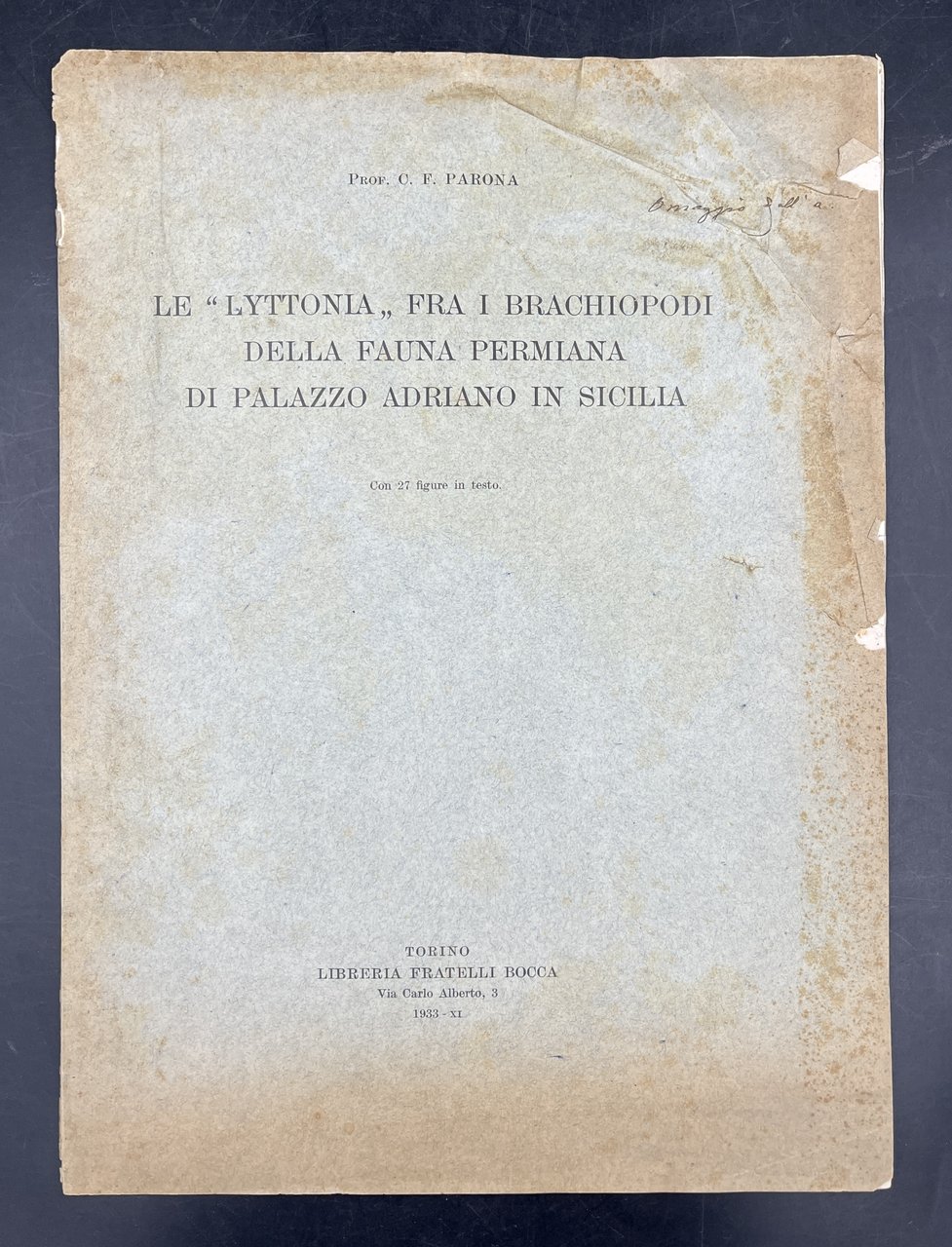 Le "LYTTONIA" fra i brachiopodi della fauna permiana di PALAZZO …