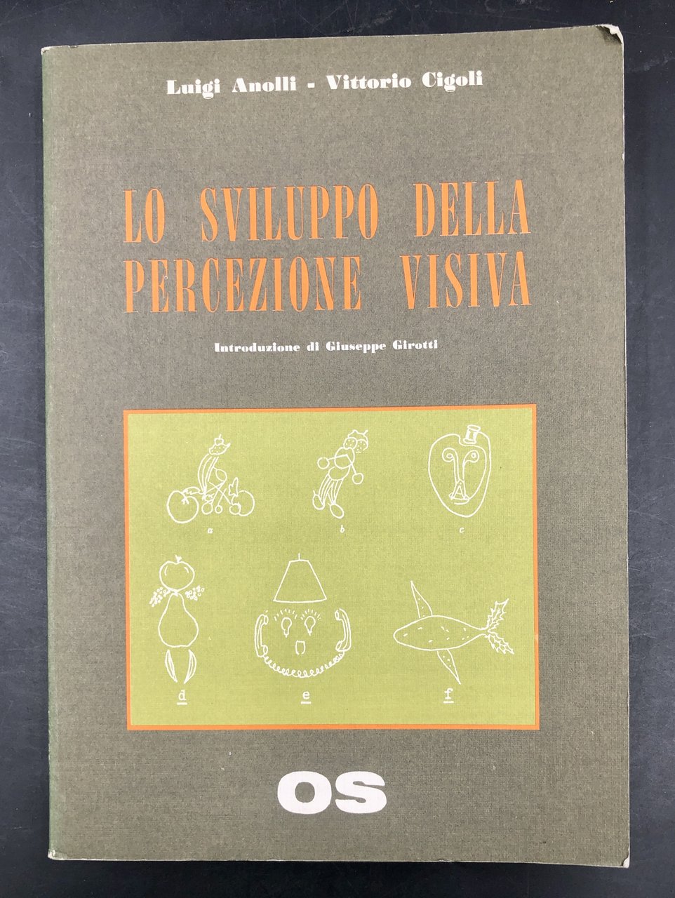 Lo SVILUPPO della PERCEZIONE VISIVA. Contributo alla taratura italiana del …