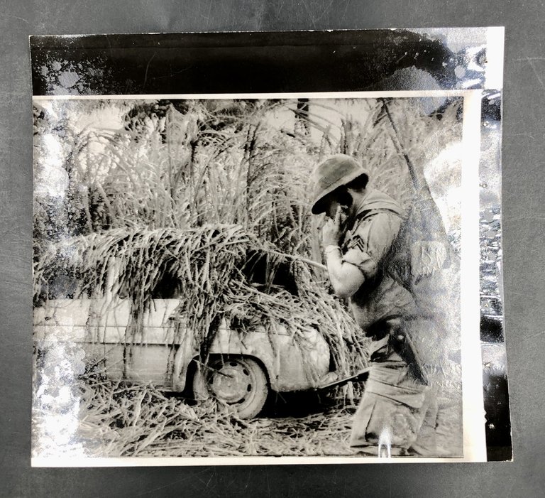 Michèle RAY in VIETNAM. Serie di 5 FOTOGRAFIE d'agenzia sulla …