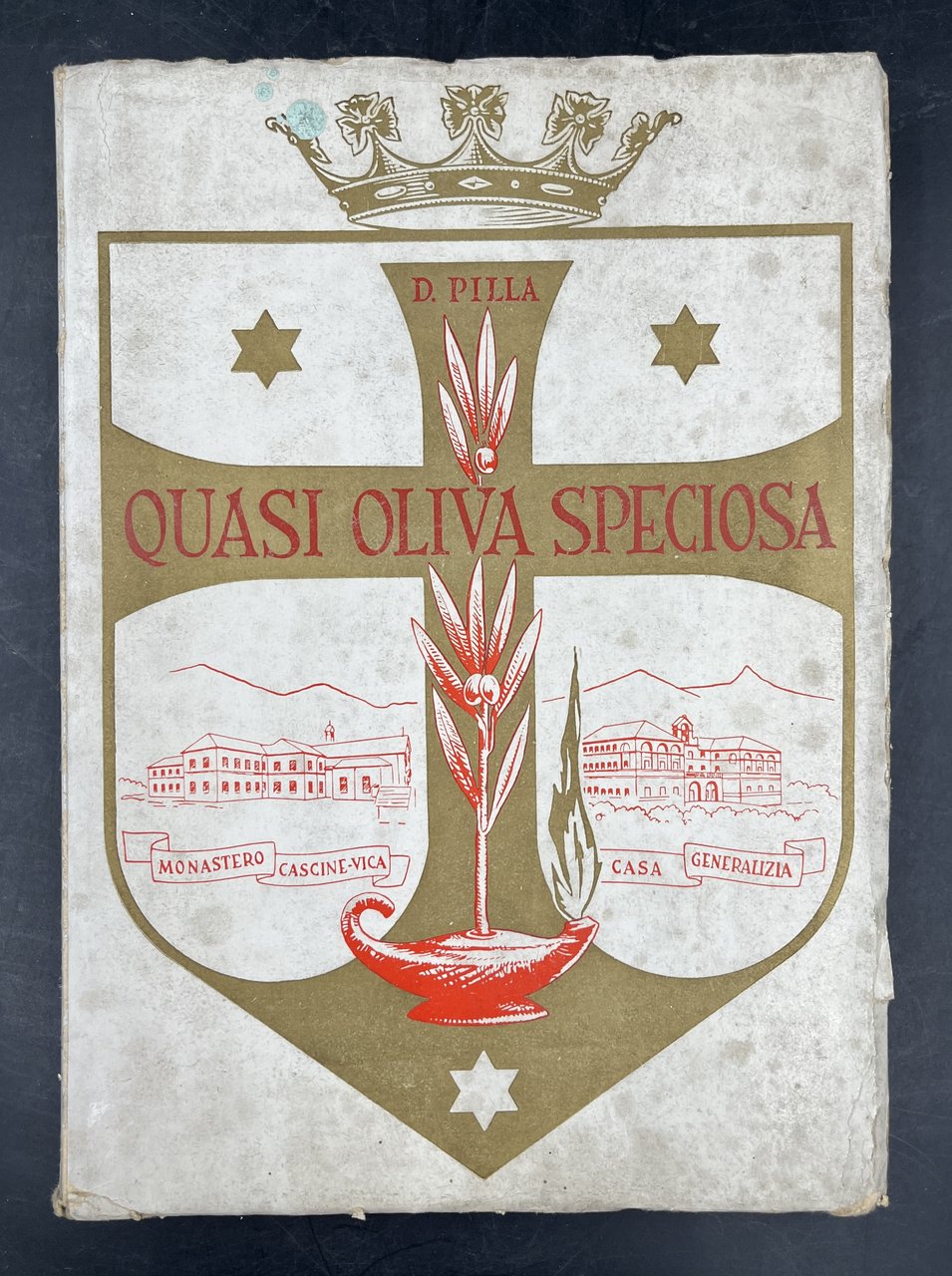 QUASI OLIVA SPECIOSA. Profilo biografico della Madre MARIA degli ANGELI, …