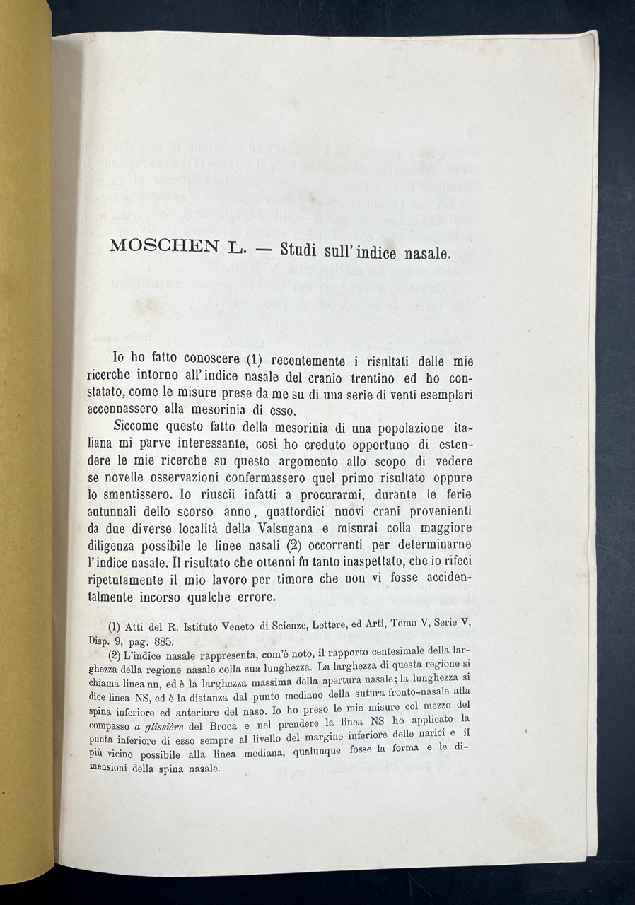 Studi sull'INDICE NASALE, Estratto orig.dal Bullettino n. 3 della Società …