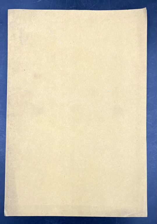 Studi sull'INDICE NASALE, Estratto orig.dal Bullettino n. 3 della Società …