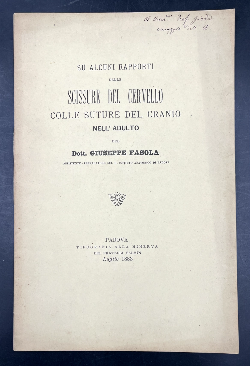 Su alcuni rapporti delle SCISSURE del CERVELLO colle SUTURE del …