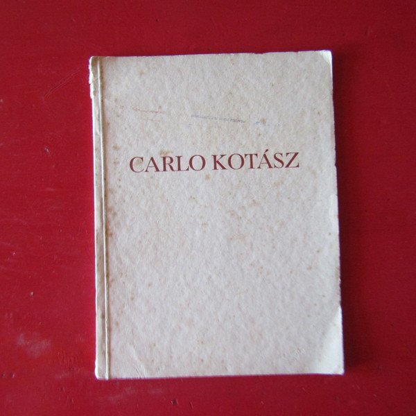 Fenomenologia di un poeta minore