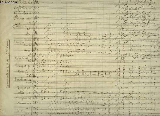 Io, fiamma gialla del confine. I miei giorni all'Elba e … | Immagine principale