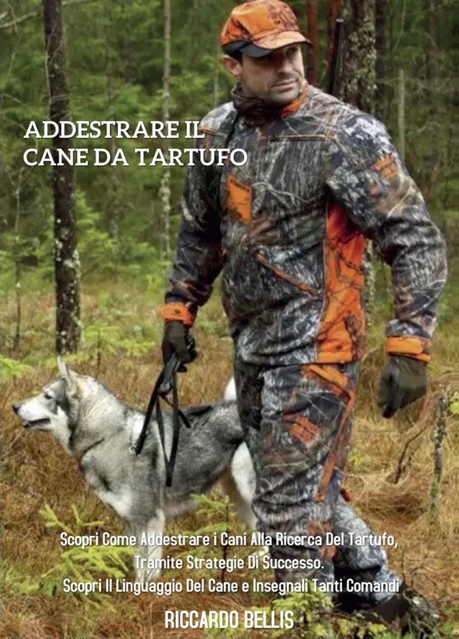 Addestrare il cane da tartufo: scopri come addestrare i cani …