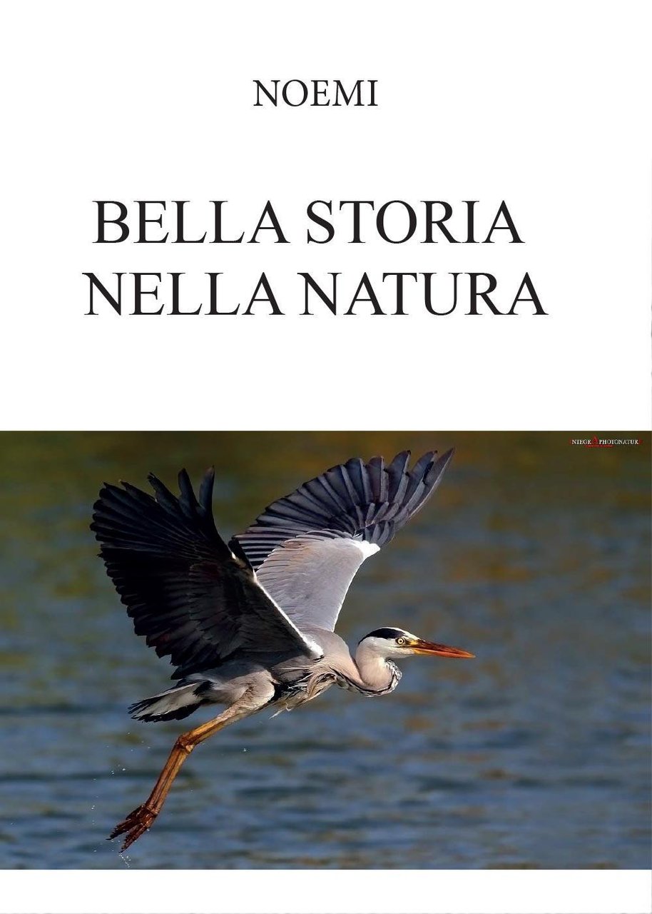 Bella storia nella natura