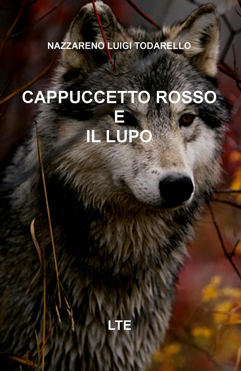 Cappuccetto rosso e il lupo | Immagine principale