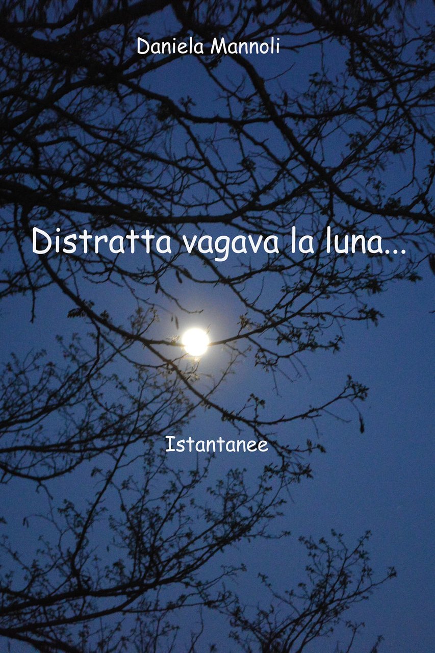 Distratta vagava la luna. Istantanee