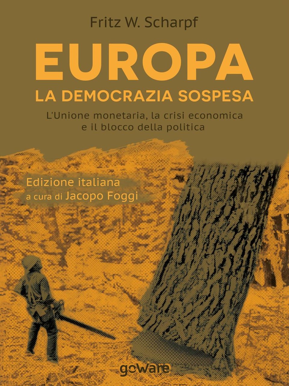 Europa. La democrazia sospesa. L'unione monetaria, la crisi economica e …