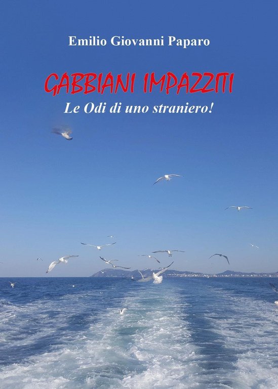 Gabbiani impazziti. Le odi di uno straniero! | Immagine Gallery 3