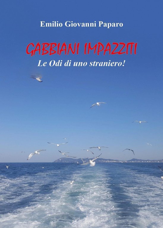 Gabbiani impazziti. Le odi di uno straniero! | Immagine Gallery 4