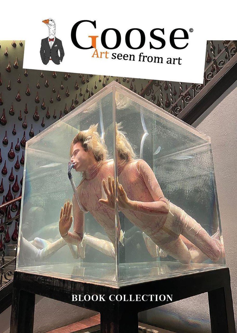 Goose Art seen from art. Ediz. inglese e francese