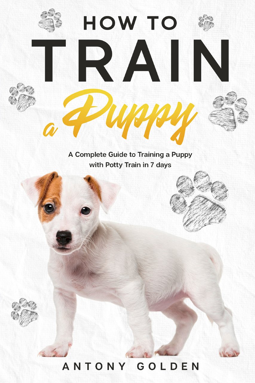 How to train a puppy. A complete guide to training …