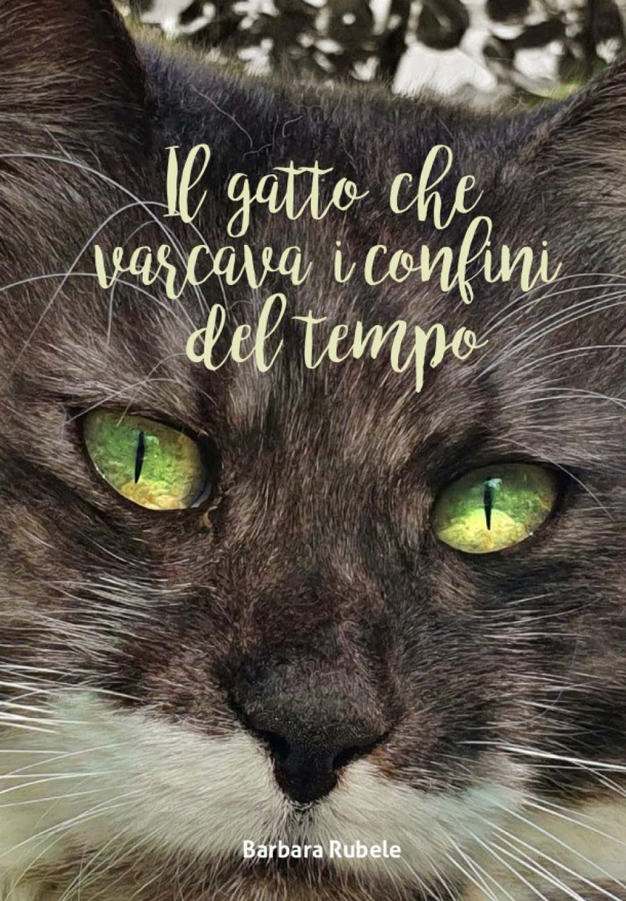 Il gatto che varcava i confini del tempo