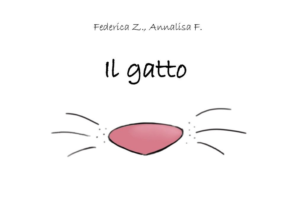 Il gatto