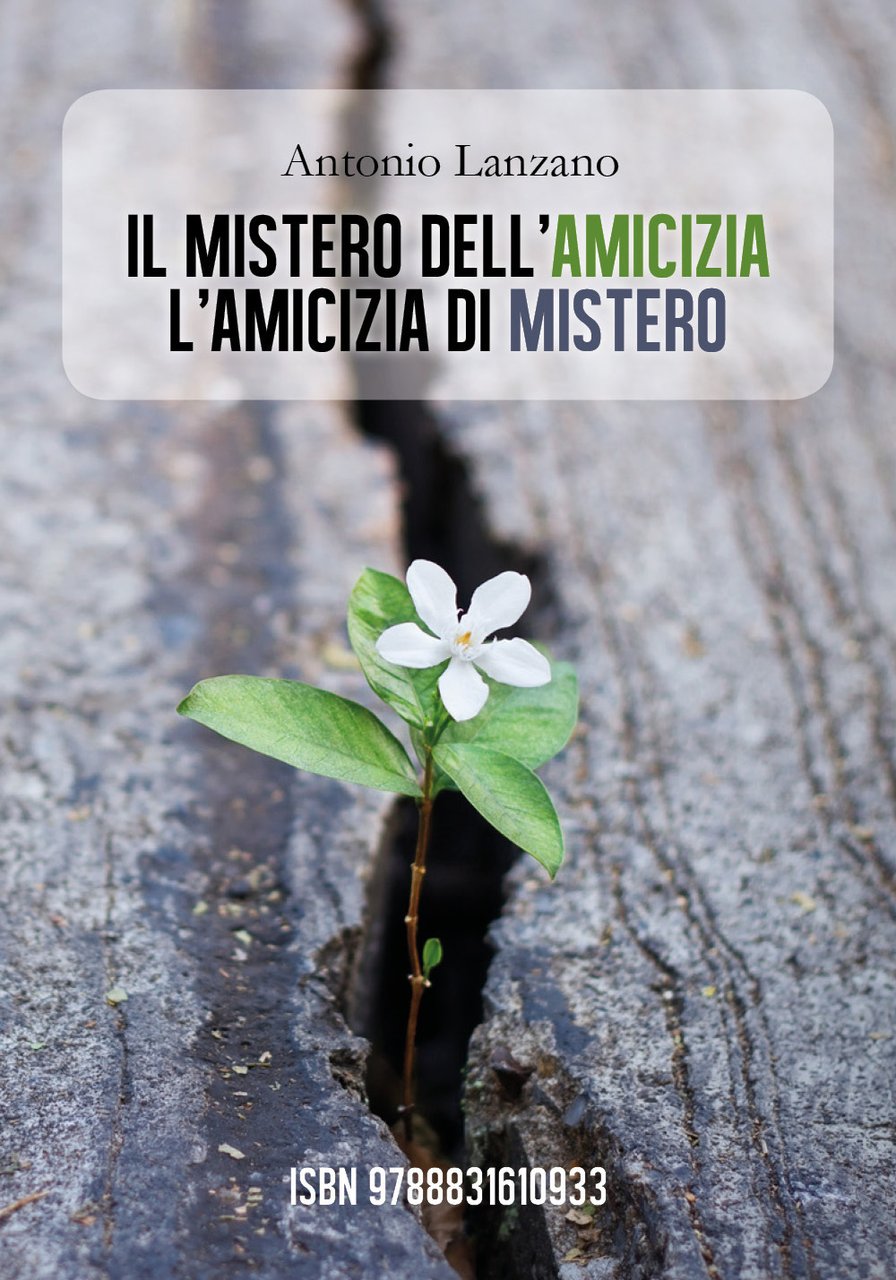 Il mistero dell'amicizia l'amicizia di mistero