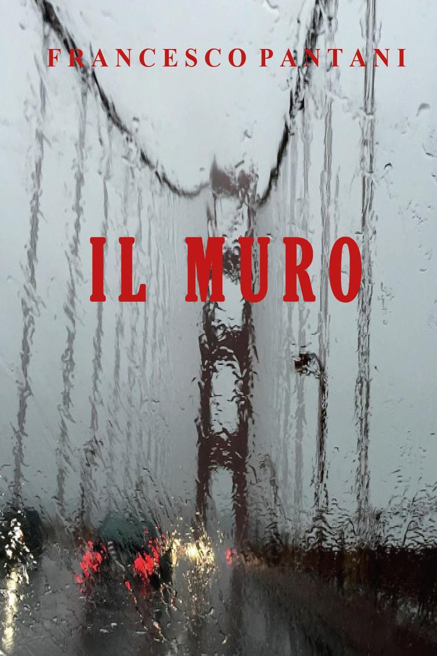 Il muro | Immagine principale