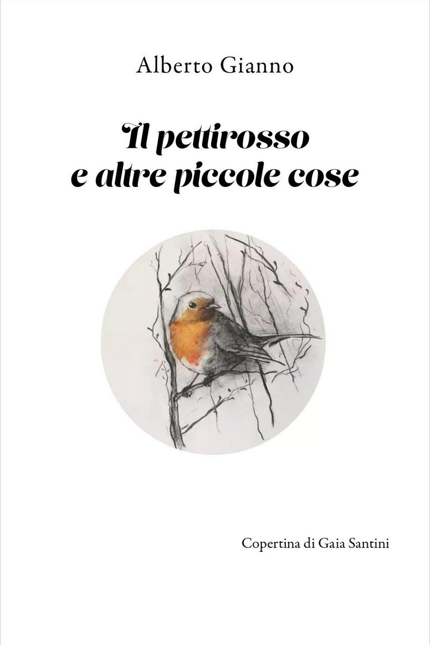 Il pettirosso e altre piccole cose