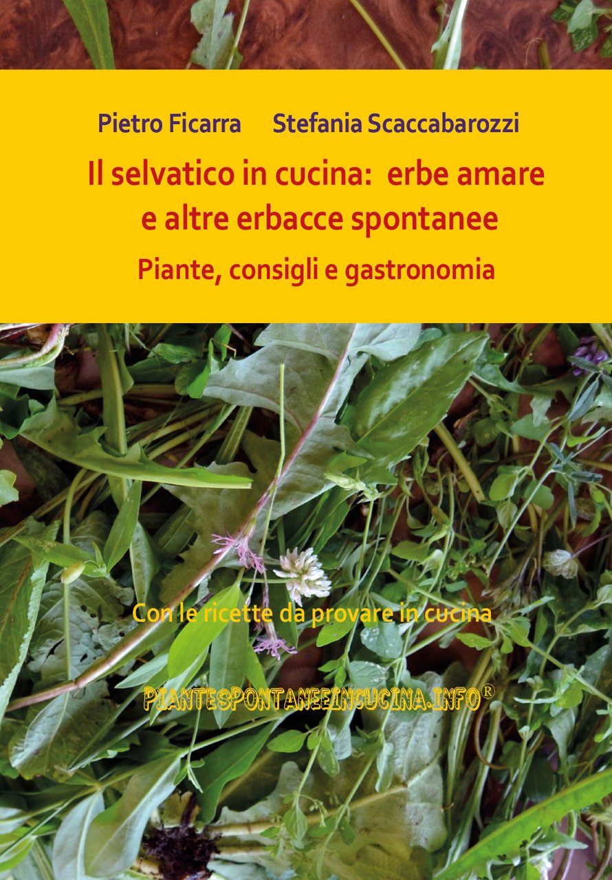 Il selvatico in cucina: erbe amare e altre erbacce spontanee. …