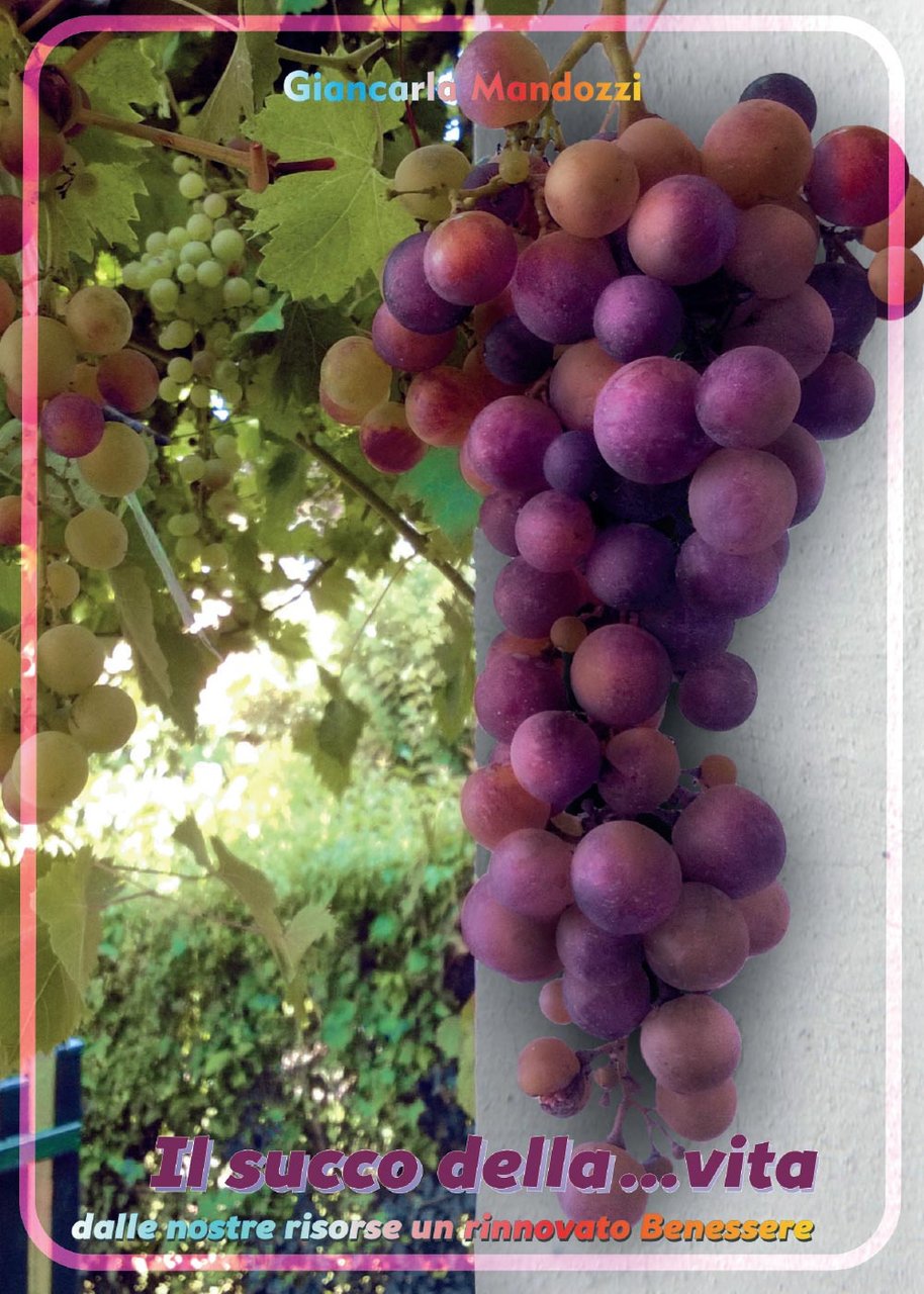 Il succo della. vita