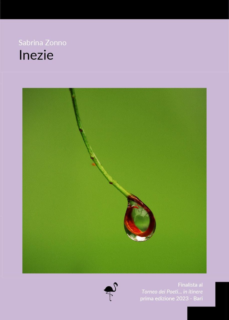 Inezie | Immagine principale
