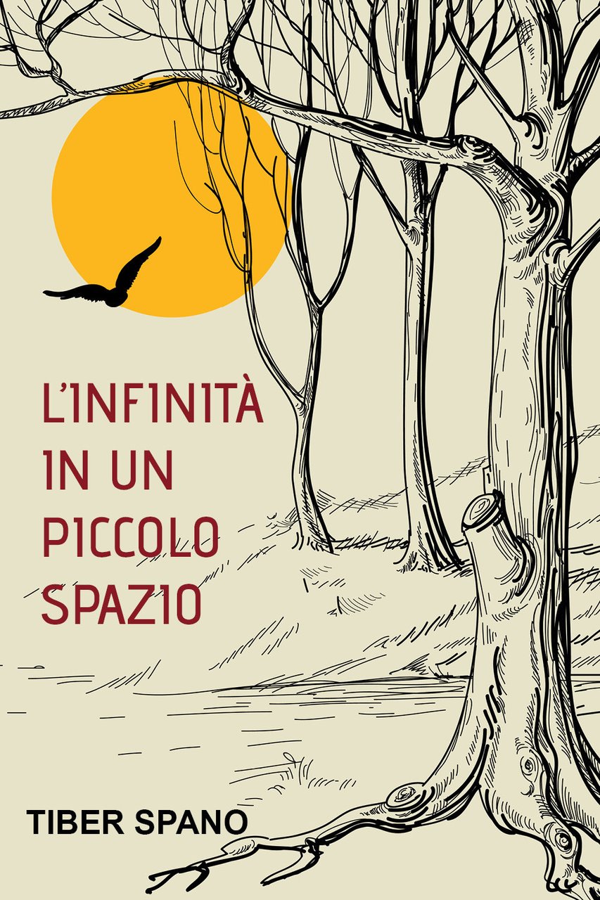 L'infinità in un piccolo spazio