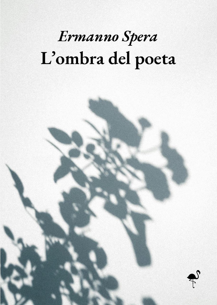 L'ombra del poeta | Immagine principale