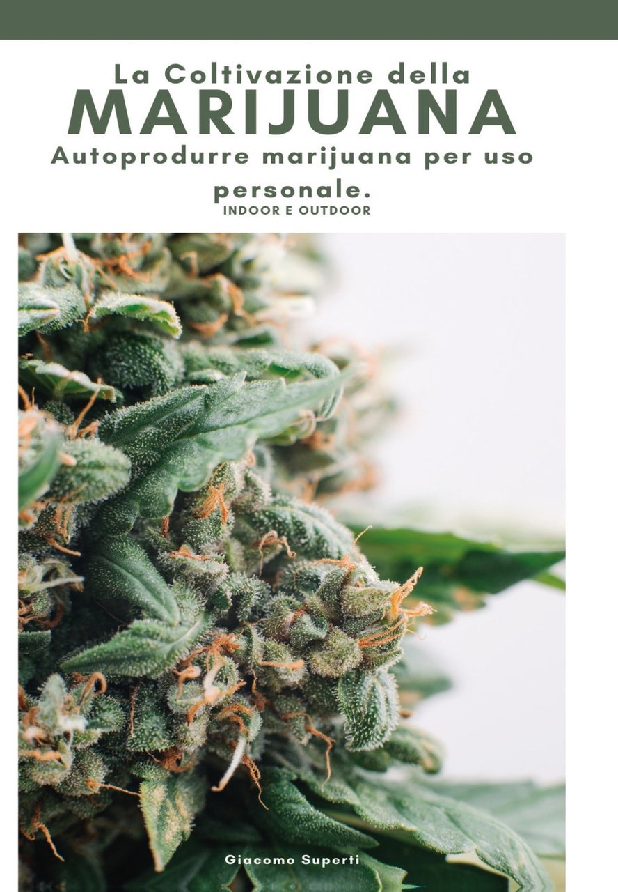 La coltivazione della marijuana. Autoprodurre marijuana per uso personale