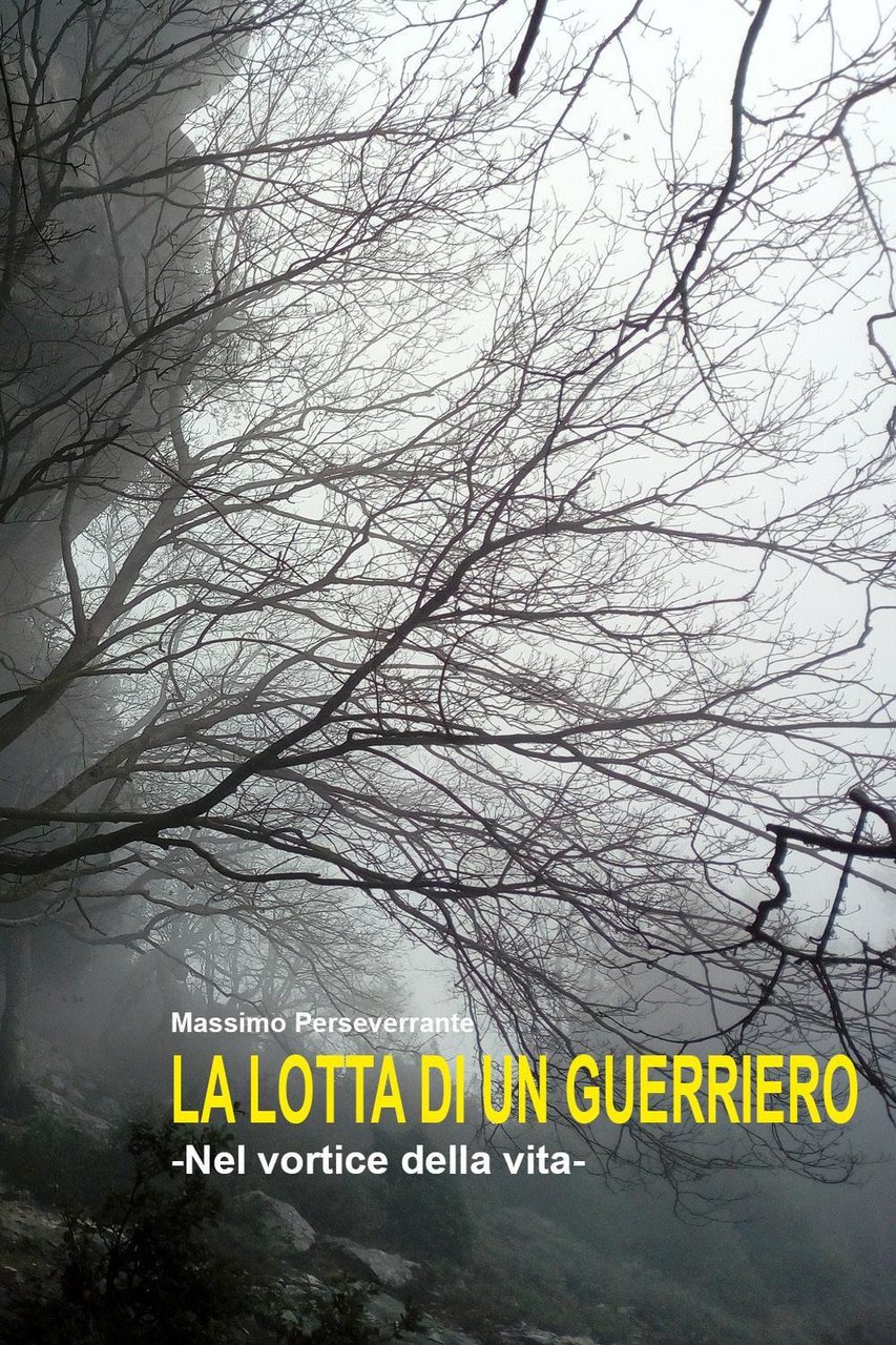 La lotta di un guerriero