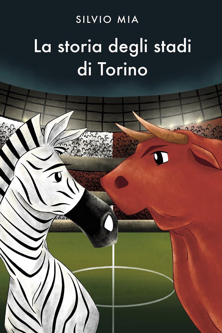La storia degli stadi di Torino | Immagine principale
