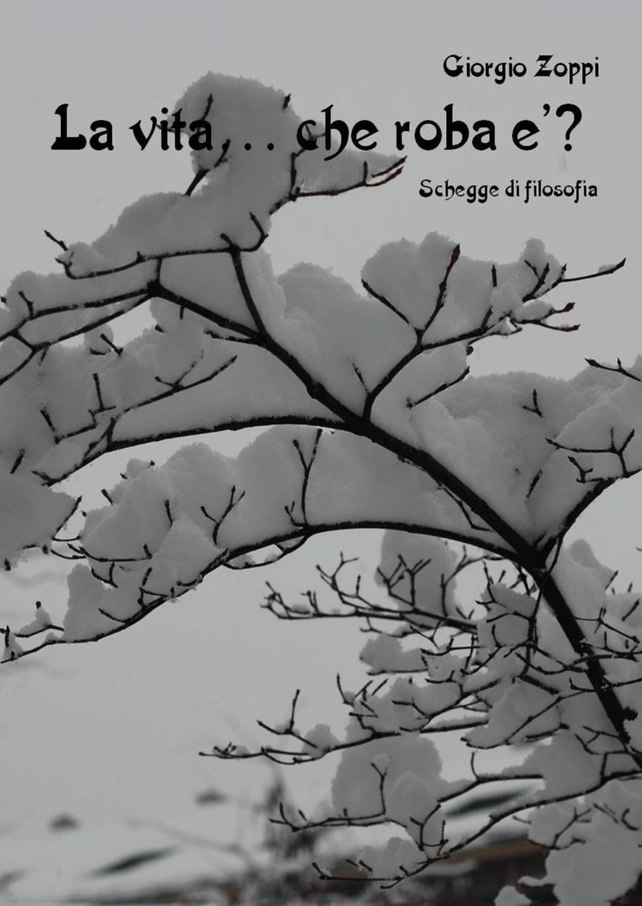 La vita. che roba è? Schegge di filosofia