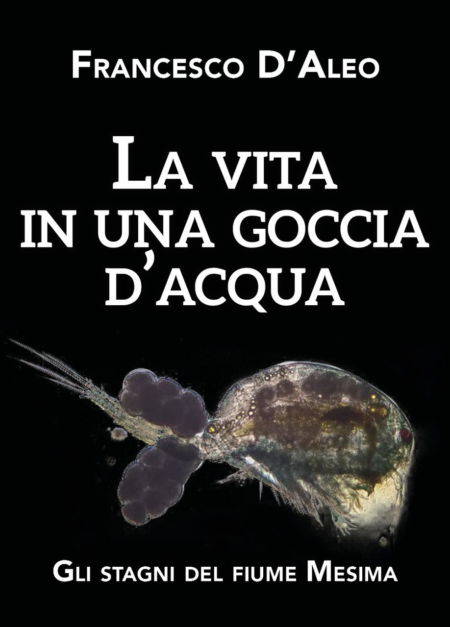 La vita in una goccia d'acqua. Gli stagni del fiume …