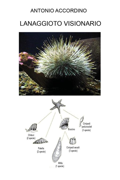 Lanaggioto visionario